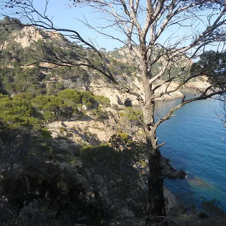 Apartment Vieille Ville Tossa Vue Sur Mer *