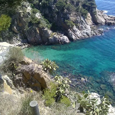 Vieille Ville Tossa Vue Sur Mer